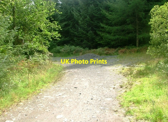 Photo 6"x4" Track Junction, Kirrougtree Forest Stronord c2010