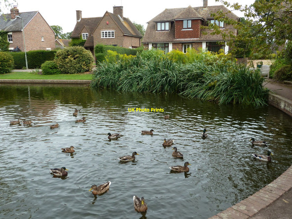 Photo 6"x4" The duck pond, Lingfield, Surrey Lingfield\/TQ3843 c2010