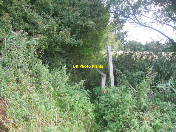 Photo 6"x4" Footbridge at Hopsford Hopsford c2010