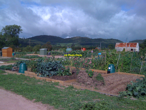 Photo 6"x4" Gardens in Dalbeattie Dalbeattie c2010