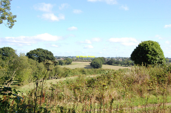 Photo 6"x4" Fields near Hooe Gotham\/TQ7009 c2010