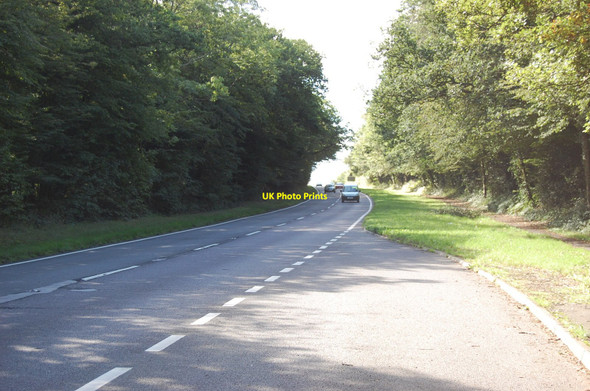 Photo 6"x4" A22 near Folkington Wood Hailsham c2010