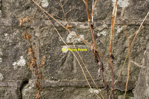 Photo 6"x4" Cut Bench Mark (close-up) Smelthouses c2010