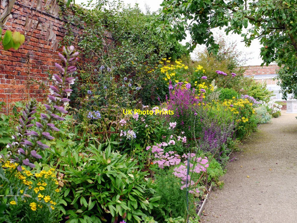 Photo 6"x4" Herbaceous border, Bradley Nursery & Gardens, Sled Lane, Wylam Crawcrook c2010
