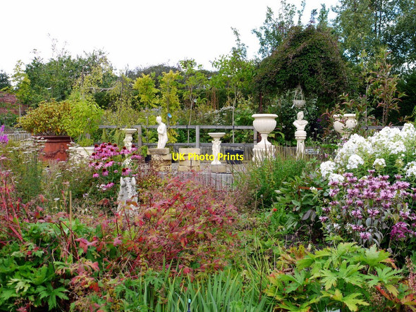 Photo 6"x4" Bradley Nursery & Gardens, Sled Lane, Wylam Crawcrook c2010