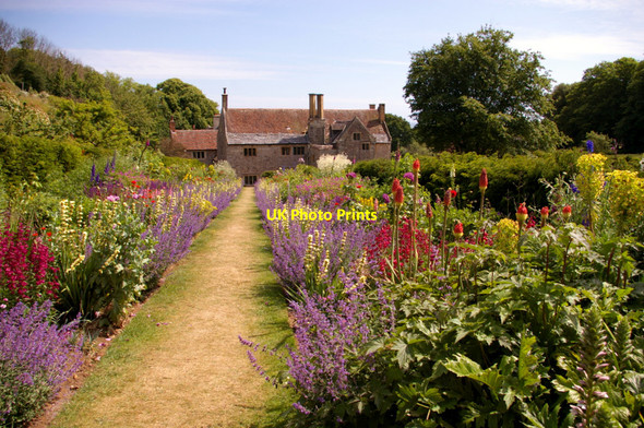 Photo 6"x4" Mottistone Manor Garden, Isle of Wight Mottistone c2009