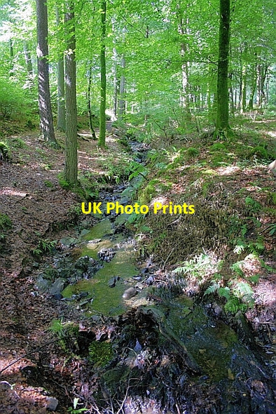 Photo 6"x4" Mabie Burn, Dalshinnie Glen Islesteps c2010