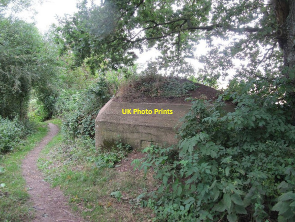 Photo 6"x4" Visit to an old friend Cholsey c2010
