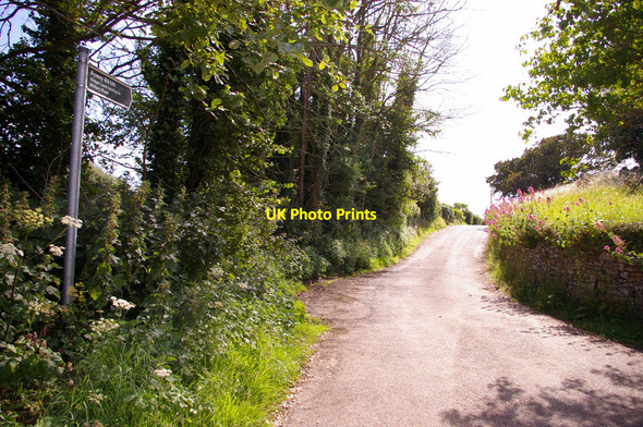 Photo 6"x4" Byway leading to Military Road, Mottistone, Isle of Wight Mottistone c2009
