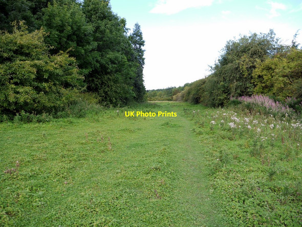 Photo 6"x4" Meadow, Tyne Riverside Park, Prudhoe Prudhoe c2010