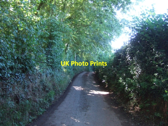 Photo 6"x4" Road to Appledore from Lower Cross Prescott\/ST0814 c2010