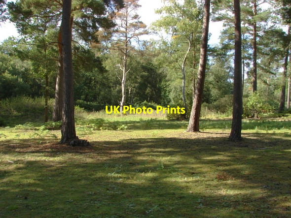 Photo 6"x4" Brookwood Cemetery Brookwood c2006