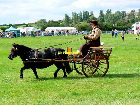 Photo 6"x4" Pony and carriage, Cricklade Show 2010 Cricklade c2010