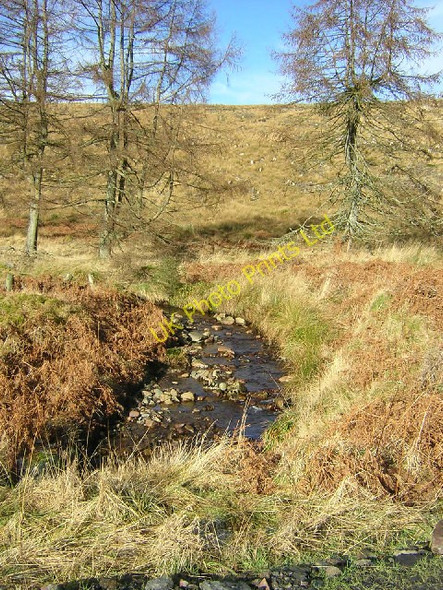 Photo 6"x4" Corrie Burn, Loch Ard Forest Corrie Burn\/NS4795 c2006