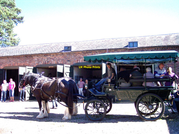 Photo 6"x4" Shire horses and cart at Erddig Wrexham\/Wrecsam c2010
