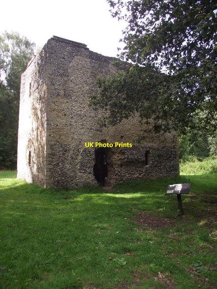Photo 6"x4" Thetford Warren Lodge Santon Downham c2010