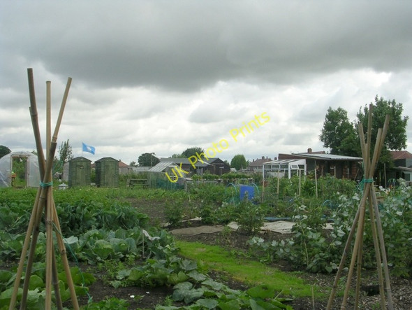 Photo 6"x4" Allotments - Lee Brig Normanton\/SE3822 c2009