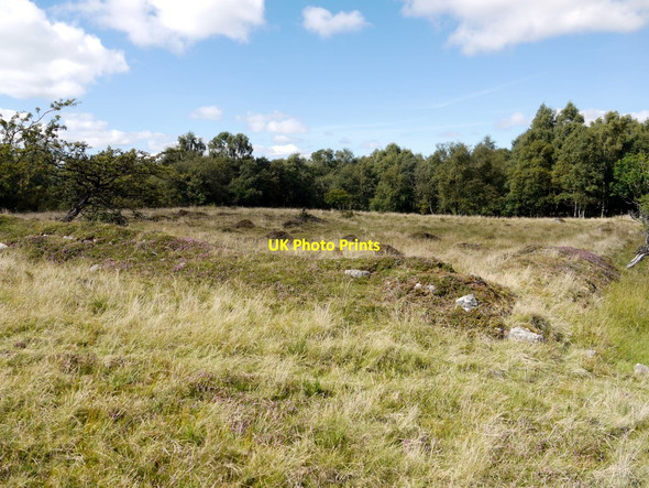 Photo 6"x4" Old boundaries north-east of Shepherd's Law Titlington c2010