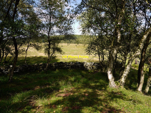 Photo 6"x4" Boundary wall east of Shepherds Law Titlington c2010