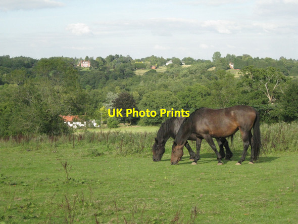 Photo 6"x4" A paddock above the Tapster valley Copt Green c2010