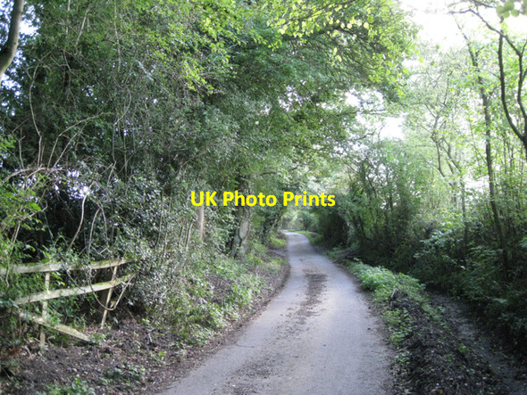 Photo 6"x4" Looking up Hole House Lane Copt Green c2010