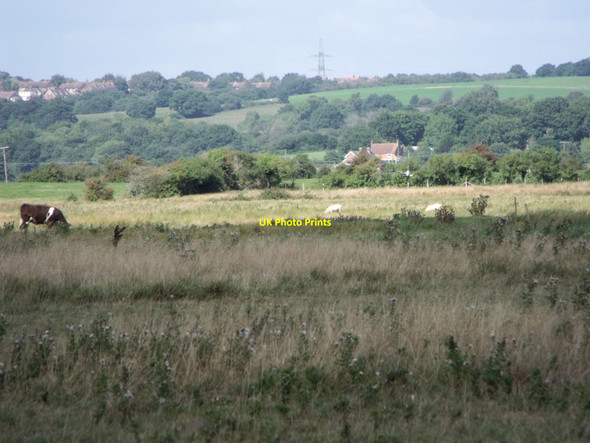 Photo 6"x4" Fields south of Herstmonceux Golden Cross\/TQ6310 c2010