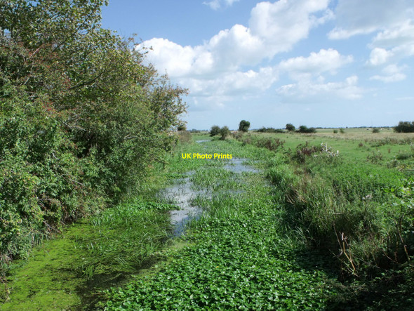 Photo 6"x4" Hurst Haven at New Bridge, Pevensey Levels Golden Cross\/TQ6310 c2010