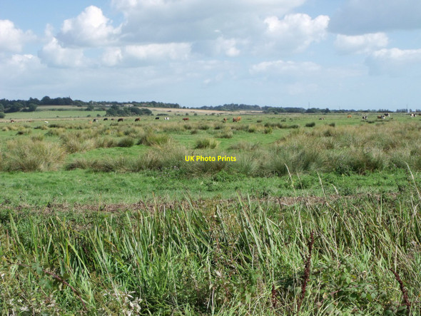 Photo 6"x4" Fields beyond Bowley Sewer, Pevensey Levels Golden Cross\/TQ6310 c2010