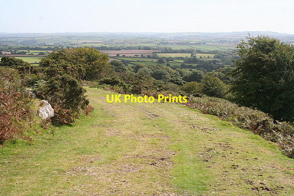 Photo 6"x4" St Cleer: track from Pearce's shaft Crow's Nest\/SX2669 c2010