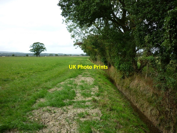 Photo 6"x4" A walk from Pickering #103 East Newton\/SE6479 c2010