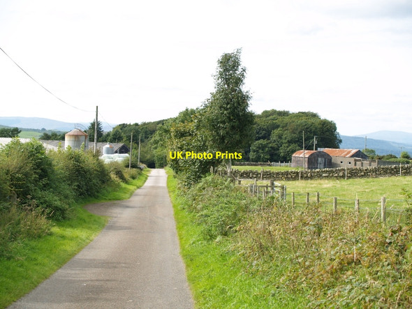 Photo 6"x4" Road through Crofts Farm Crossmichael c2010