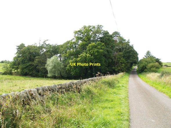 Photo 6"x4" Road and small wood near Ernfillan Hill Townhead of Greenlaw c2010
