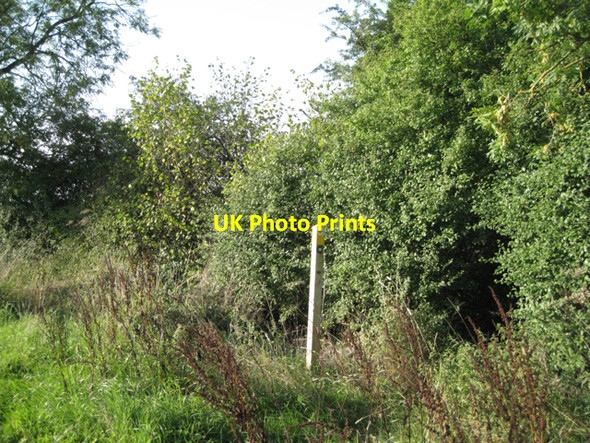 Photo 6"x4" Exit field by hole in hedge: 1 Copt Green c2010
