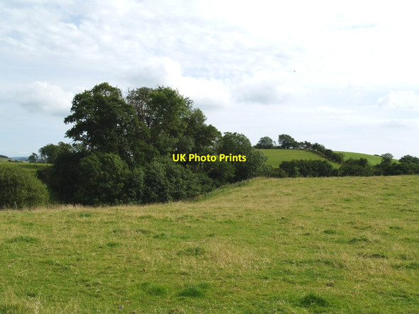 Photo 6"x4" Ernfillan Glen from the road. Townhead of Greenlaw c2010
