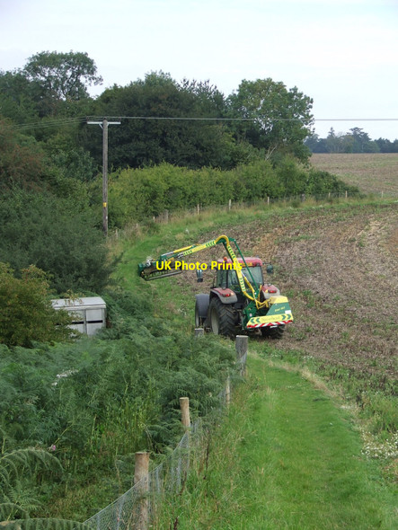 Photo 6"x4" Maintaining The Footpath Rose Green\/TL9337 c2010