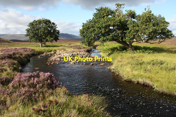 Photo 6"x4" Allt Ghiubhais Meall Dubh\/NN7295 c2010