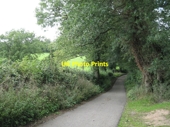 Photo 6"x4" Tapster Lane below Lapworth Lapworth c2010