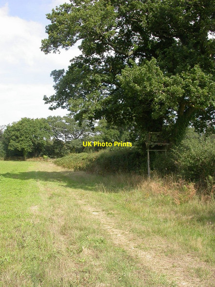 Photo 6"x4" North Ripley, high seat North Ripley c2010