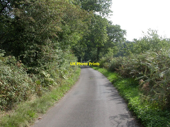 Photo 6"x4" North Ripley, Anna Lane North Ripley c2010