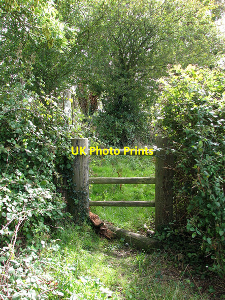 Photo 6"x4" Stile into a pasture Field Dalling c2010