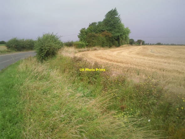 Photo 6"x4" Field edge on Romney Marsh St Mary in the Marsh c2010