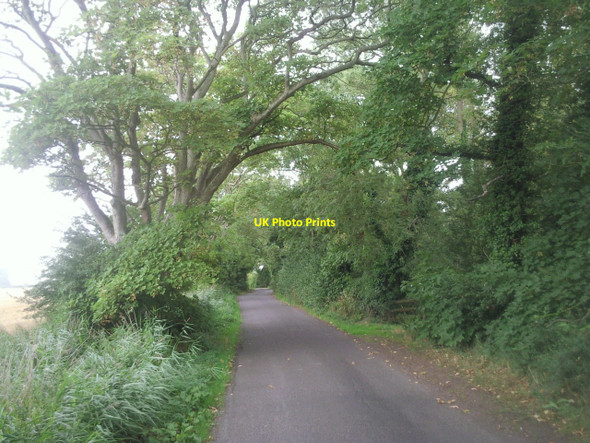 Photo 6"x4" Jefferstone Lane, Romney Marsh St Mary in the Marsh c2010