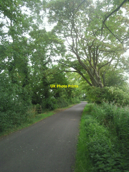 Photo 6"x4" Jefferstone Lane near St Mary's Bay St Mary in the Marsh c2010
