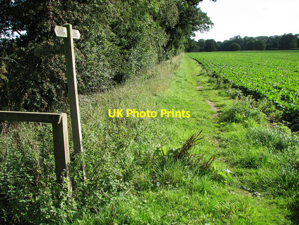 Photo 6"x4" Public footpath to Redgrave Fen Street\/TM0579 c2010