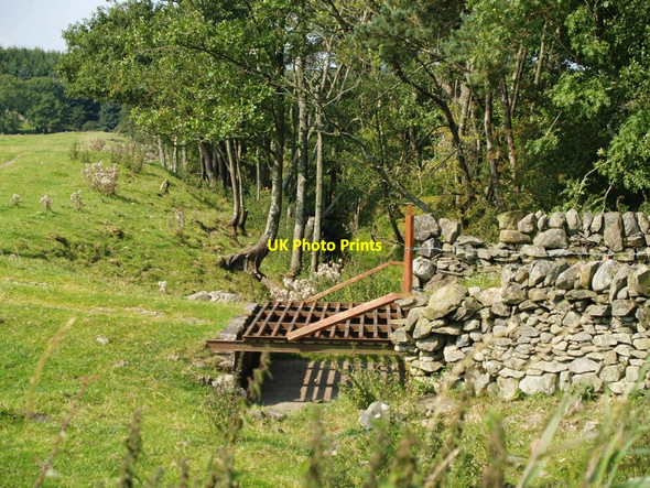 Photo 6"x4" Cattle Grid on track to Glentoo Loch Laurieston\/NX6864 c2010