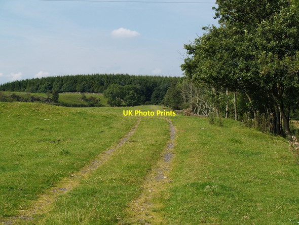 Photo 6"x4" Track to Glentoo Loch Laurieston\/NX6864 c2010