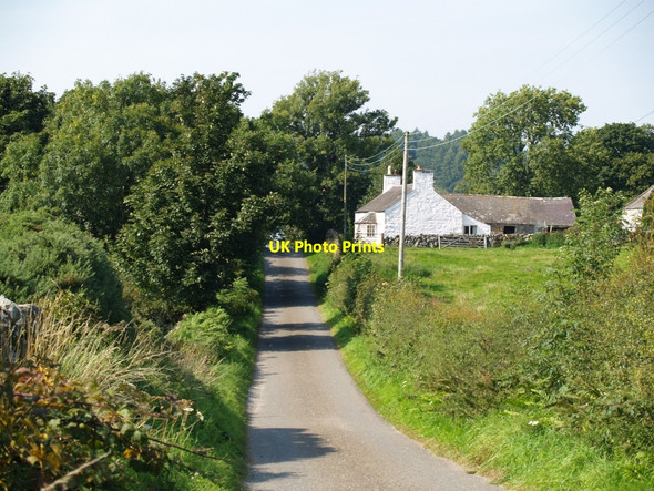 Photo 6"x4" Roadway towards Old Douganhill Palnackie c2010