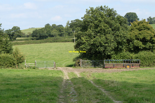 Photo 6"x4" 2010 : Track from Trimby's Farm Alder Row c2010