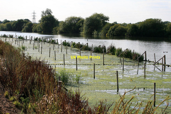 Photo 6"x4" Habitat creation on Coneries Lake Long Eaton c2010