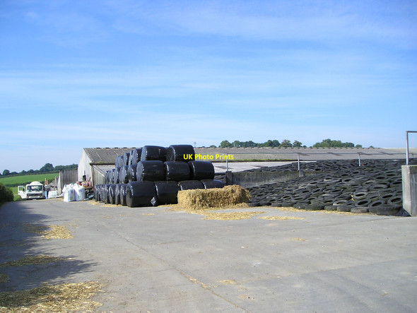 Photo 6"x4" Wern farmyard Bancyfelin c2010